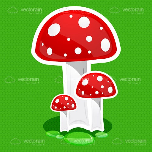 Trio of Cartoon Mushrooms on a Green Background